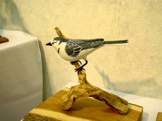 �n�N�Z�L���C