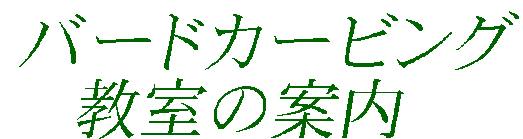 �o�[�h�J�[�r���O
�@�����̈ē�
